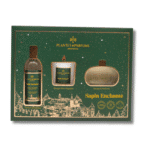 Plantes & Parfums Sapin Echante Kvapų Rinkinys